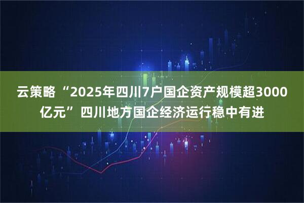 云策略 “2025年四川7户国企资产规模超3000亿元” 四川地方国企经济运行稳中有进