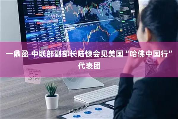 一鼎盈 中联部副部长陆慷会见美国“哈佛中国行”代表团