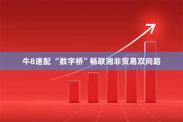 牛8速配 “数字桥”畅联湘非贸易双向路