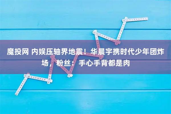 魔投网 内娱压轴界地震！华晨宇携时代少年团炸场，粉丝：手心手背都是肉